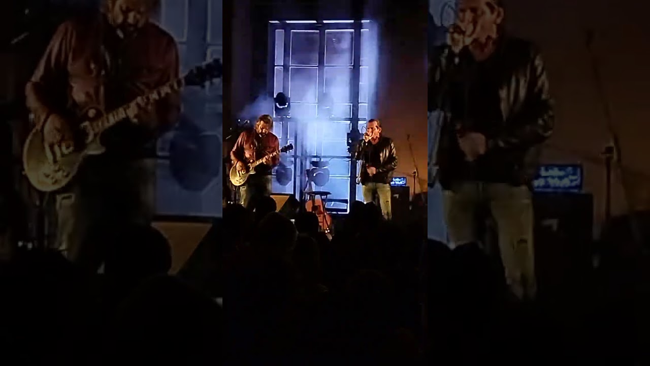 Omar Pedrini - Senza vento - Live al parco tittoni - Desio