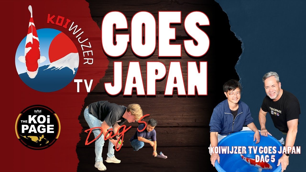 Koi Wijzer Goes Japan: heel veel kwekers en verrassende aankoop!