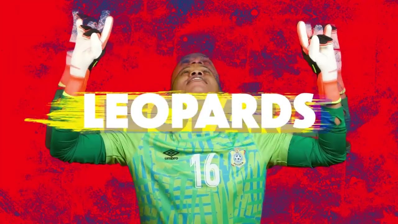 Un moment de détente🇨🇩❄⛄ 𝐏𝐞𝐭𝐢𝐭𝐞 𝐁𝐚𝐥𝐚𝐝𝐞 pour nos Léopards dans les rues de Johannesburg !