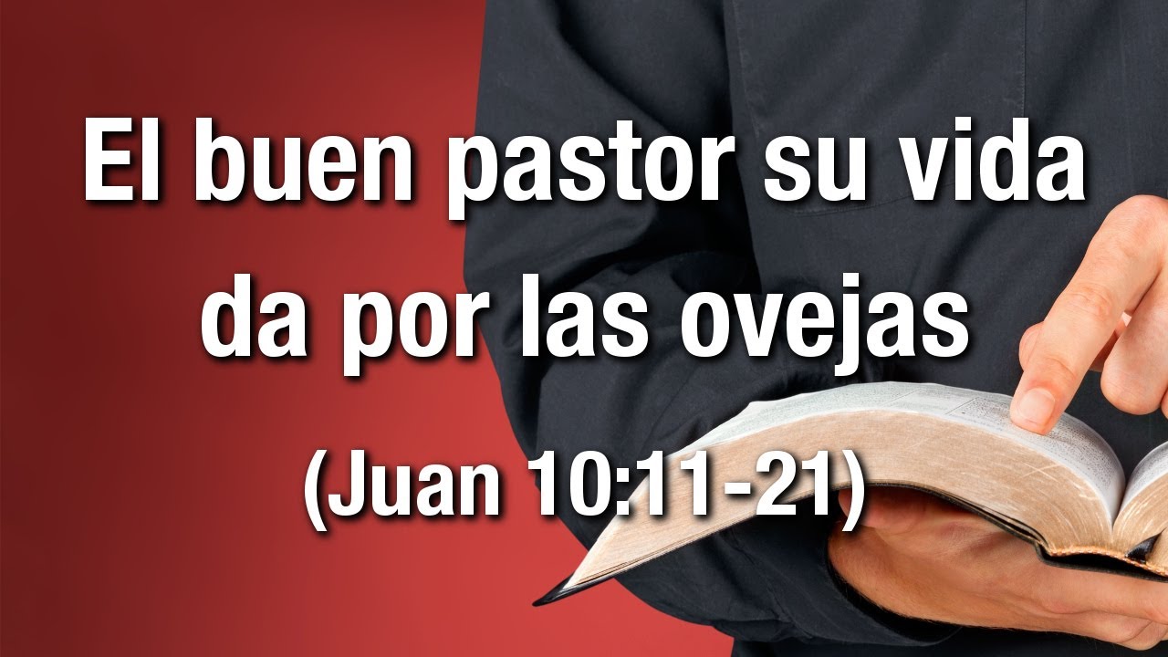El buen pastor su vida da por las ovejas (Juan 10:11-21)