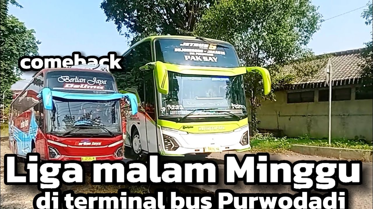 Hunting di terminal bus Purwodadi di liga malam Minggu berlian jaya mendominasi terminal Purwodadi‼️
