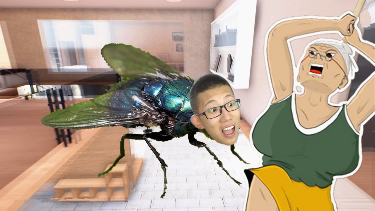 拍蒼蠅 slap the fly，和大汪啪啪啪【鯉魚Ace】