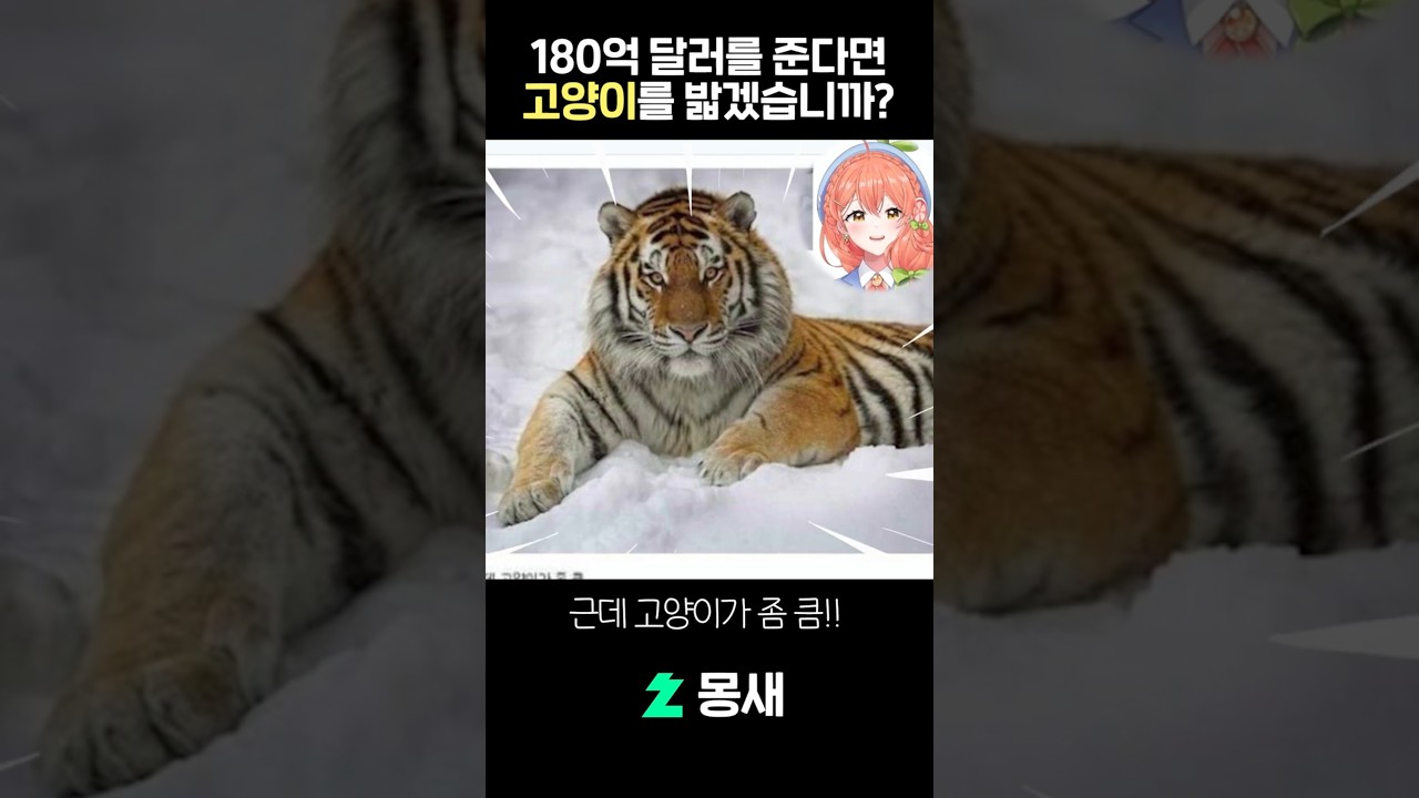 고양이 밟으면 24조 6,000억 원 드림