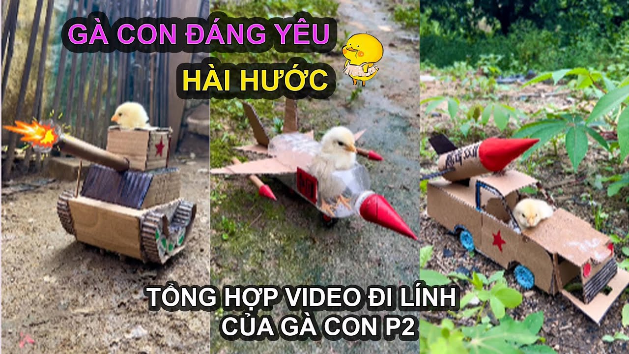 Cười Giảm STRESS với G&Agrave; CON - Đừng Bỏ Lỡ Video H&agrave;i Hước Nhất!
