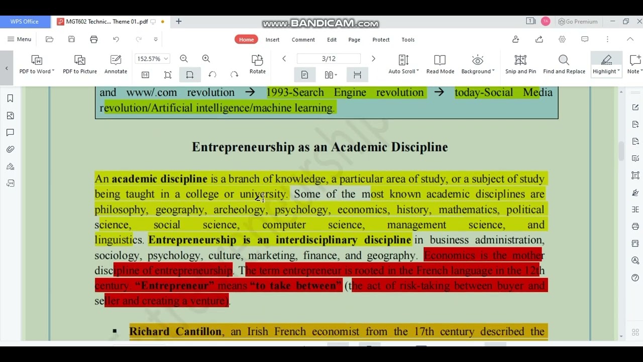 mgt602 entrepreneurship theme no 1  highlighted/ conceptual