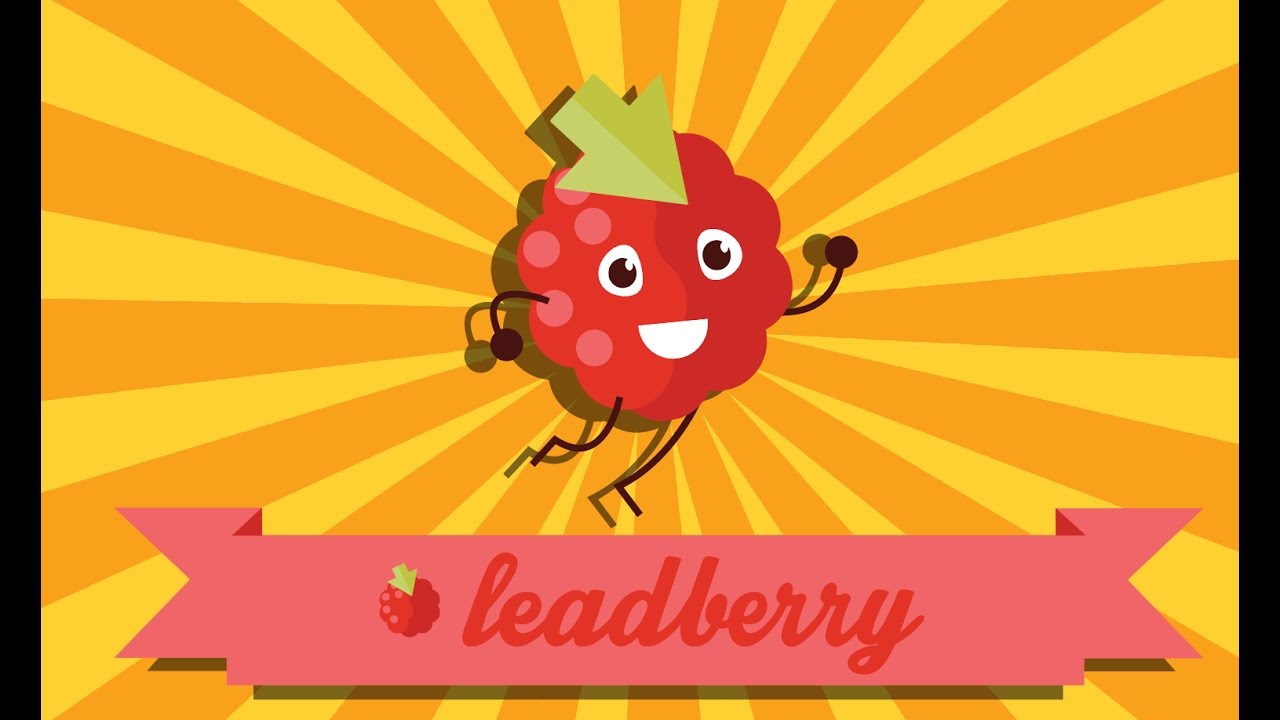 Leadberry - Stop Losing Leads