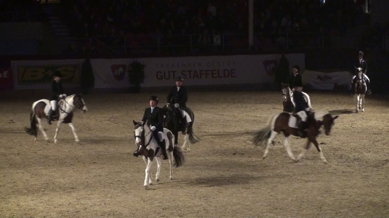 REITEN und ZUCHT-Video: Lewitzer Quadrille