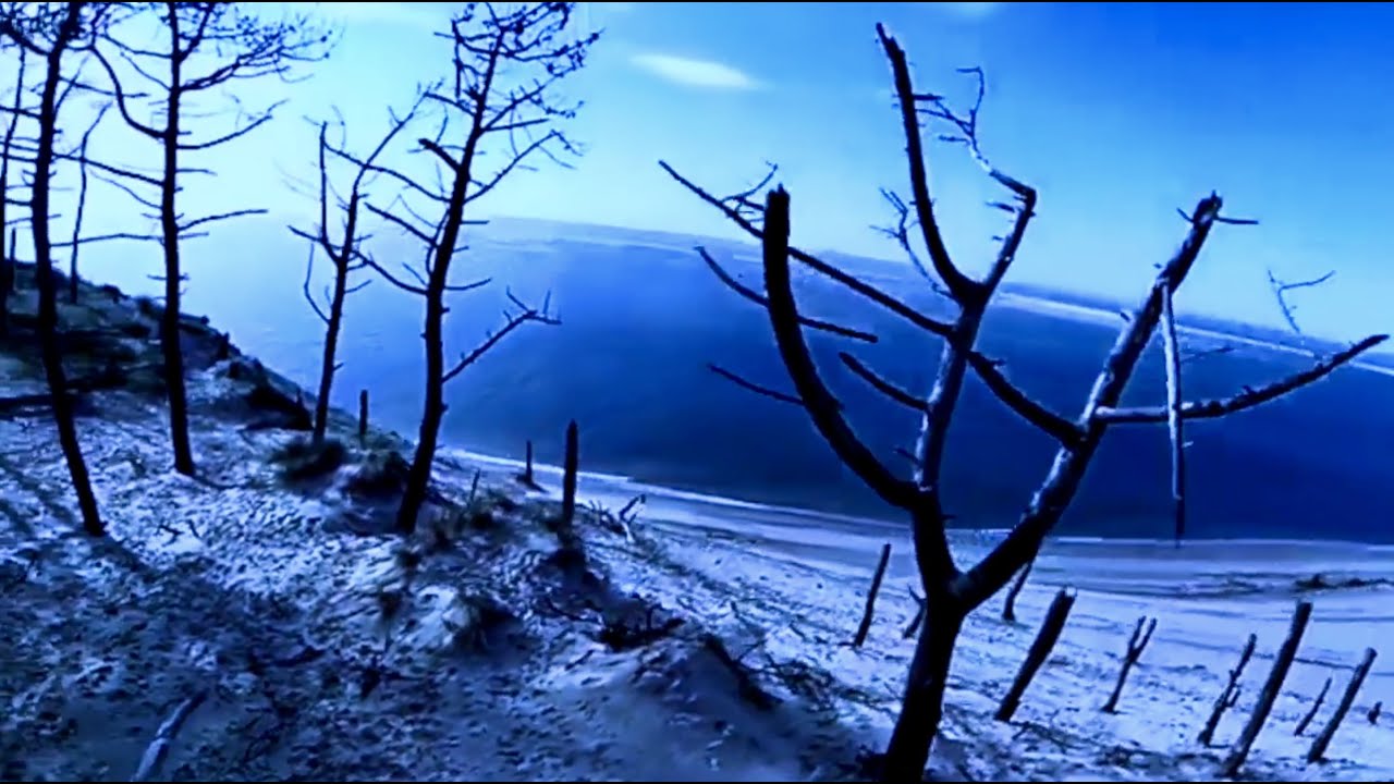 TANGERINE DREAM - THE SILENT GREEN SESSION.