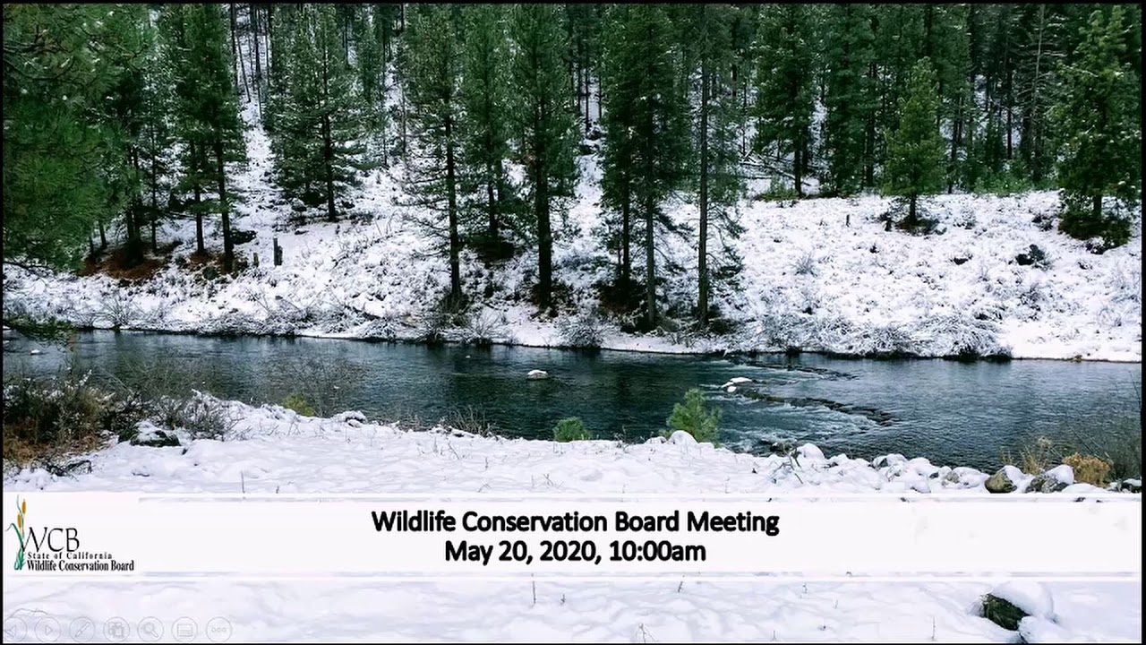 WCB Board Meeting 5-20-2020