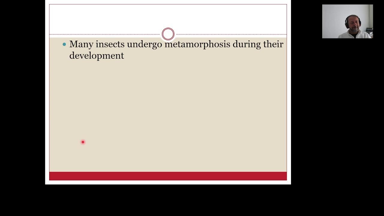 Invertebrates-General Biology-2-2023