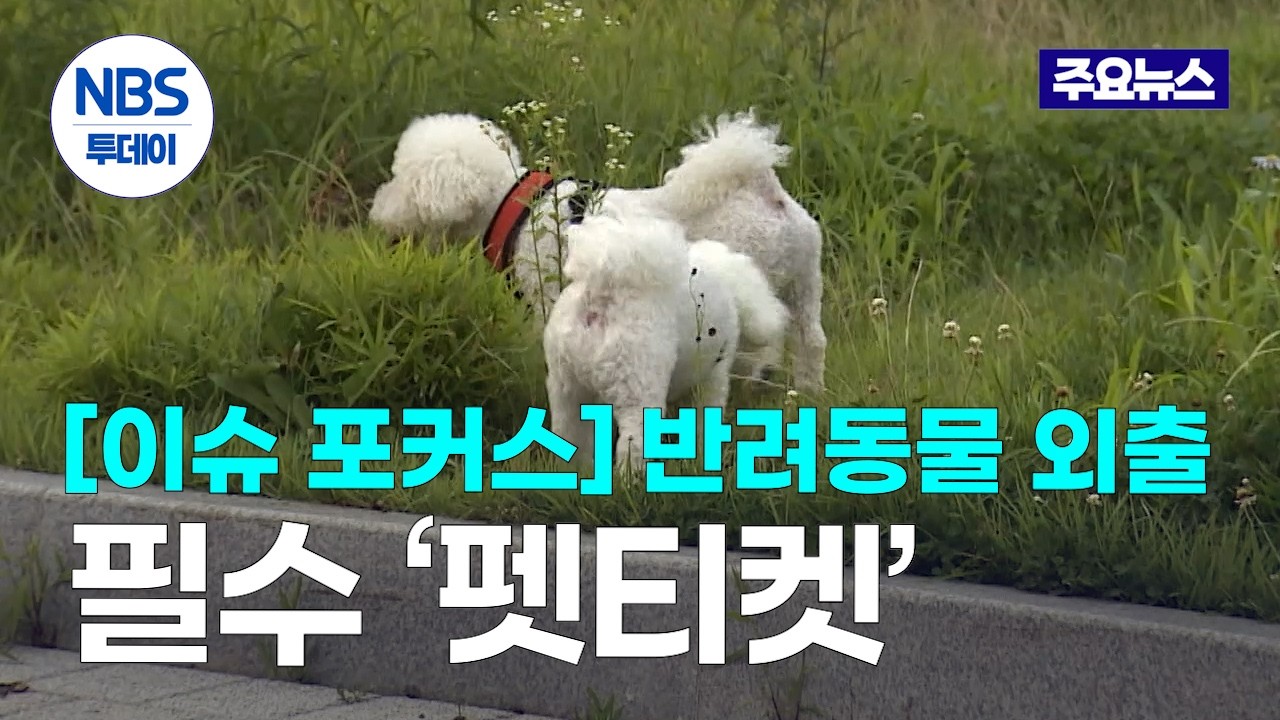 [이슈 포커스] 반려동물과 외출 시 ‘이것’ 안 하면 민폐?…필수 ‘펫티켓’은