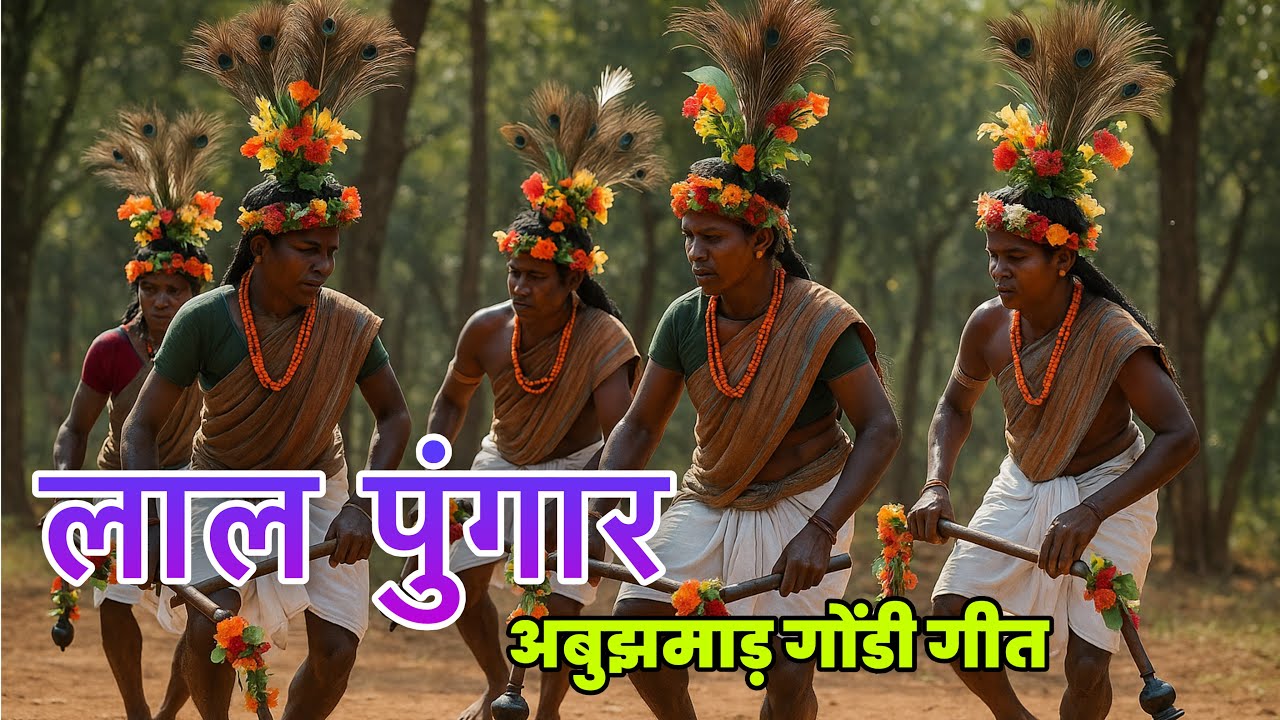 लाल पुंगार | अबूझमाड़ गोंडी गीत | Abujhmad Gondi Dance Song | Bastar Adivasi dance 