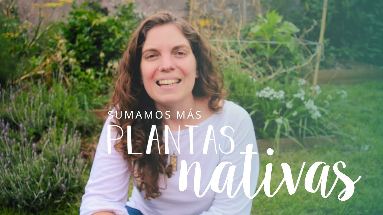 ¡PLANTAMOS MÁS NATIVAS! | Recibimos la primavera plantando verbenas, nim nim, asclepias y más!