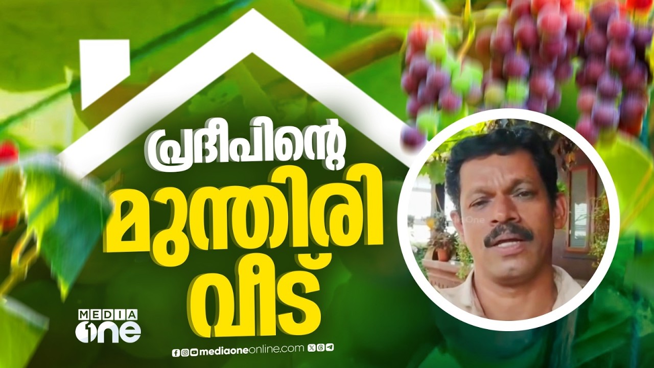 കണ്ണൂരിൽ ഒരു മുന്തിരി വീട്..