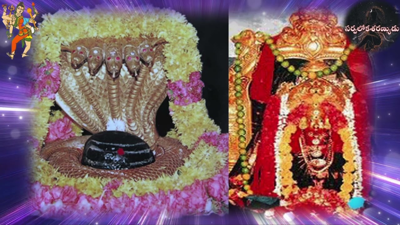 #SivaPadam - Srisailanathaya Namassivaya