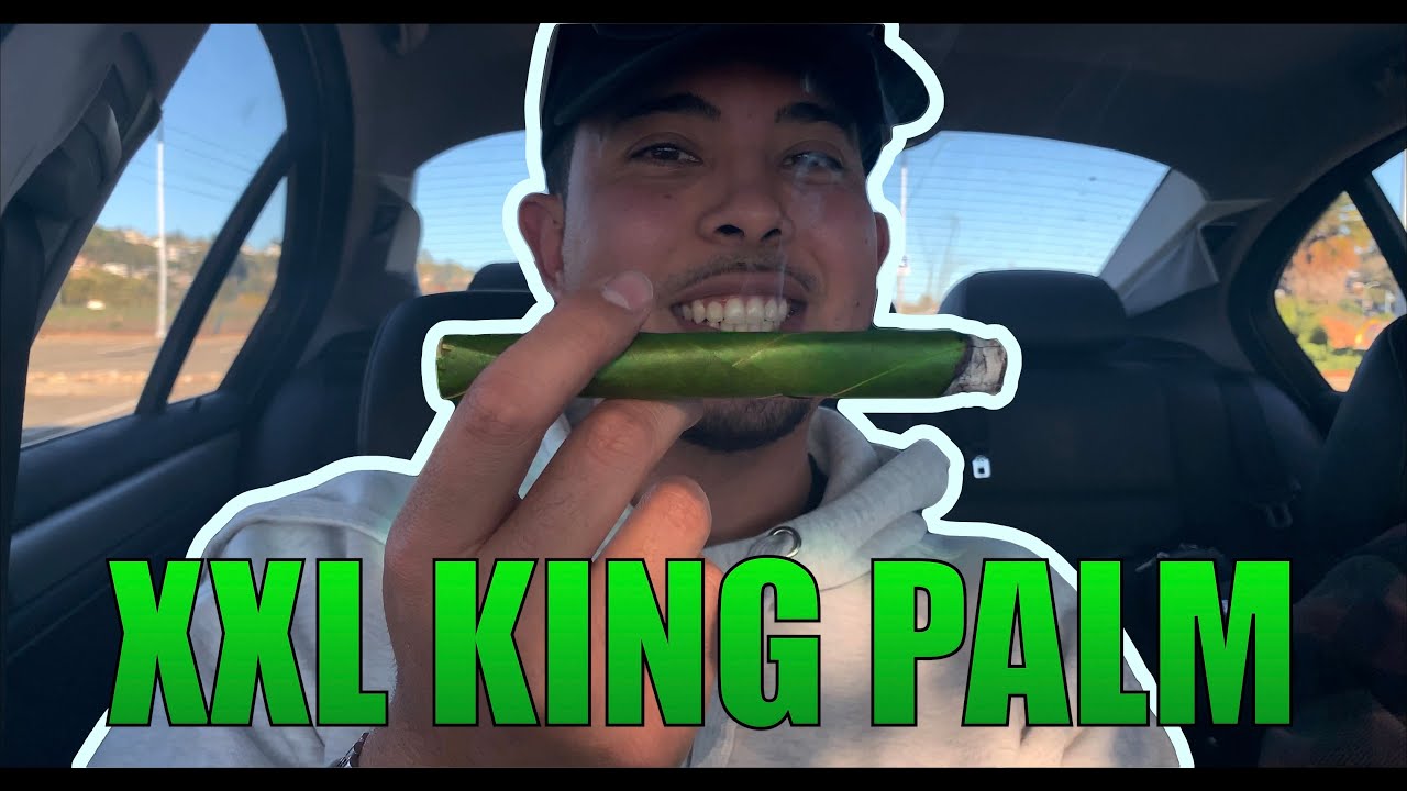KING PALM XXL 5K SUB CELEBRATION