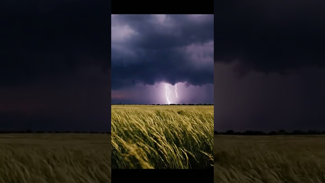 Unleashing Thunder's Symphony ⚡