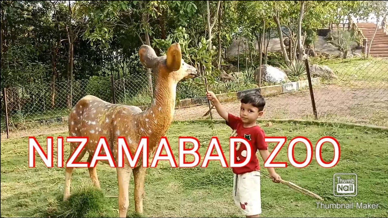 urban park | Nizamabad zoo | in Sarangpur Nizamabad telangana 2021   maddy zone #adventure #shorts