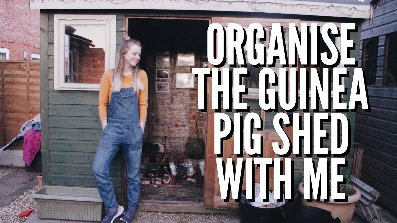 GUINEA PIG SHED DEEP CLEAN | tidy/organise with me
