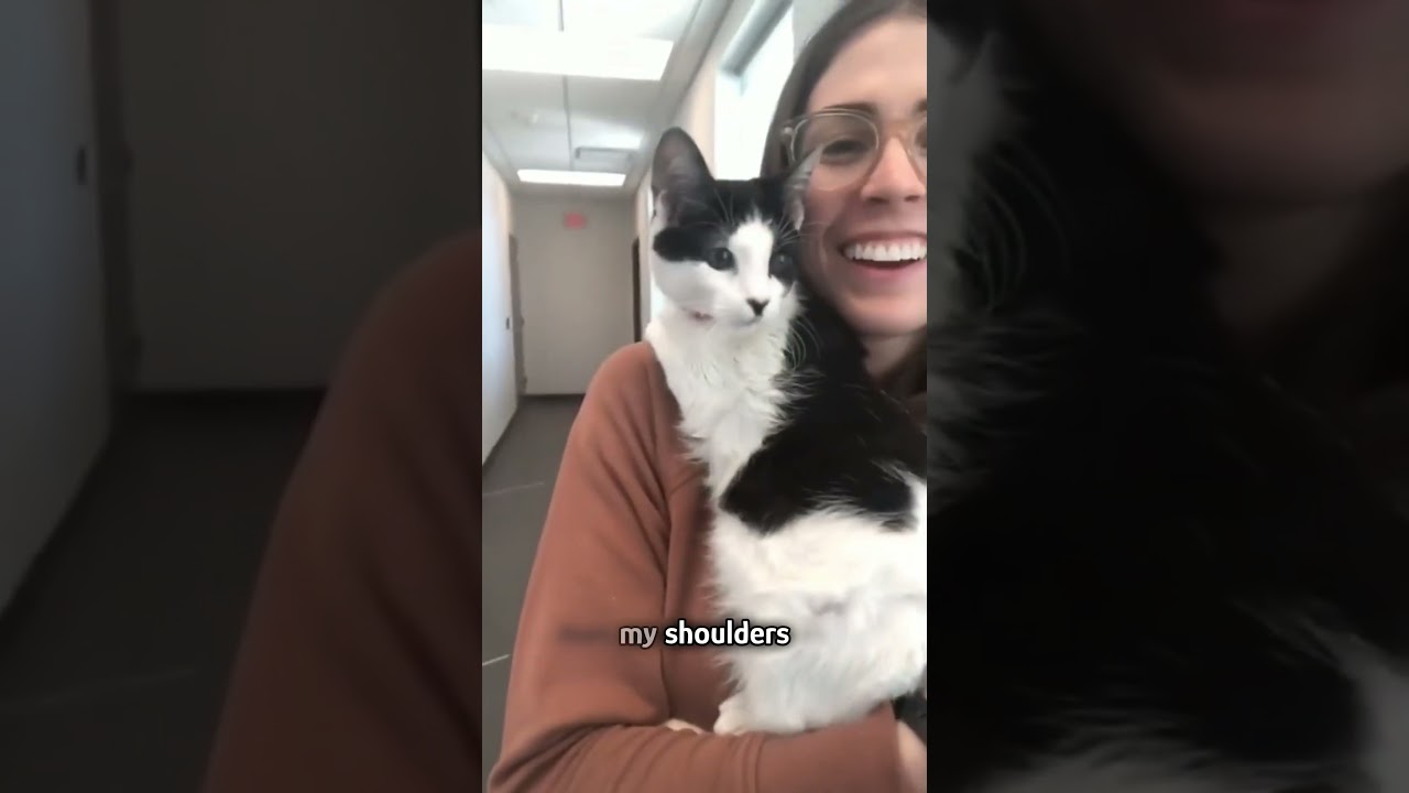Man stole my cat's heart