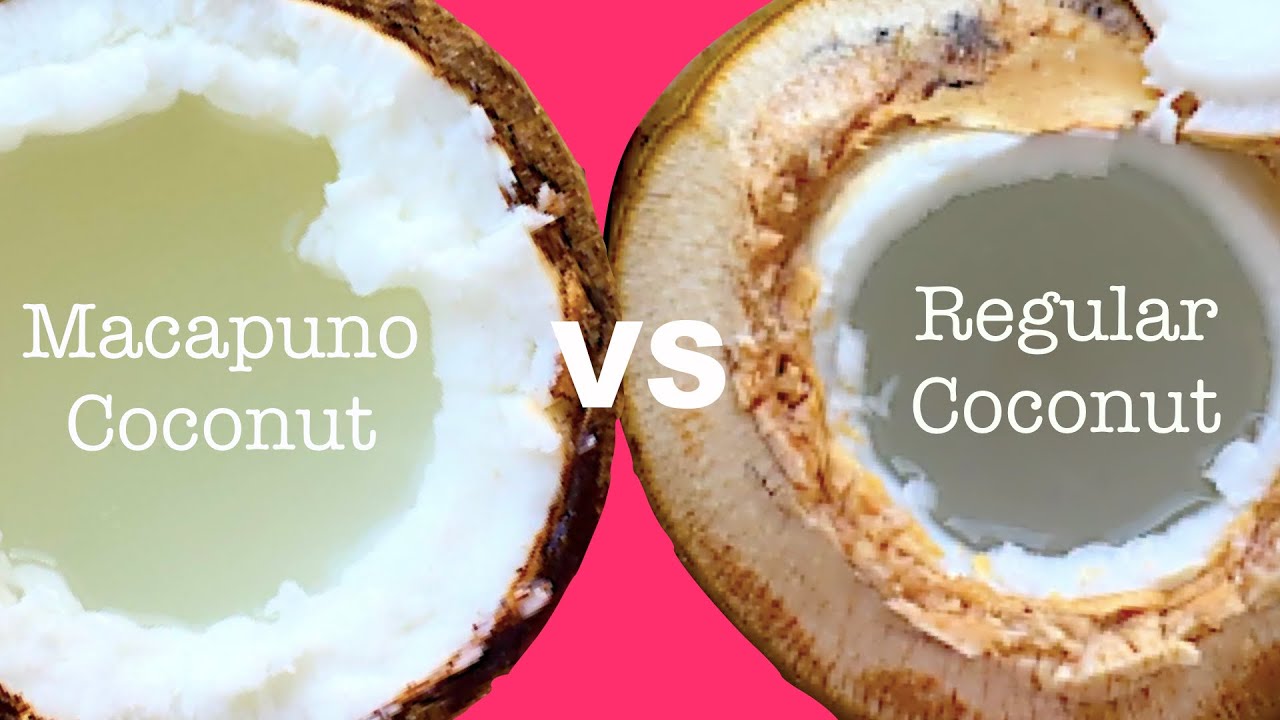 Macapuno coconut vs regular coconut: How are they different?