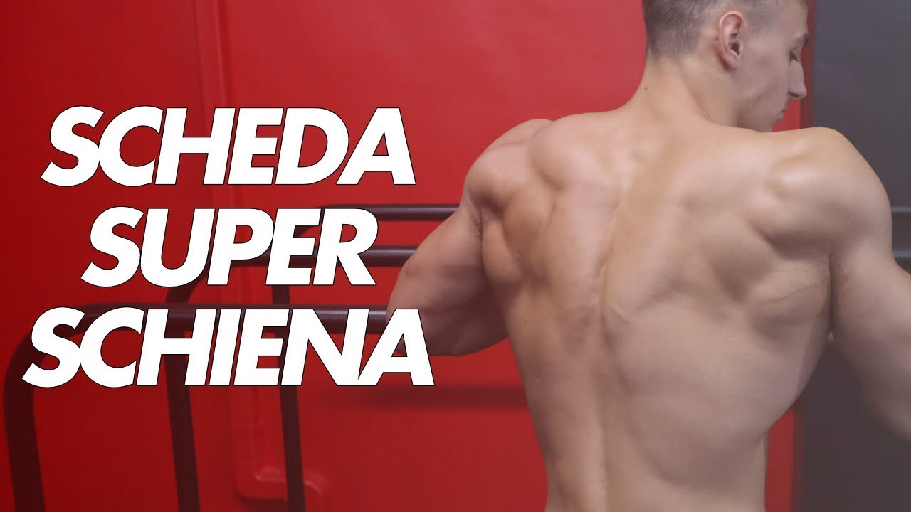 Super Schiena a Corpo Libero con la Scheda di Lucian Stanut | Calisthenics Intermedio/Avanzato