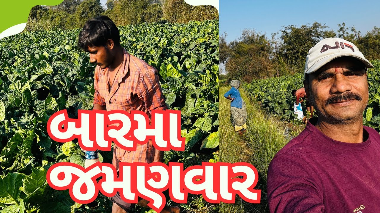 બારમા નો જમણવાર 🥗 // Durga r m vlogs 