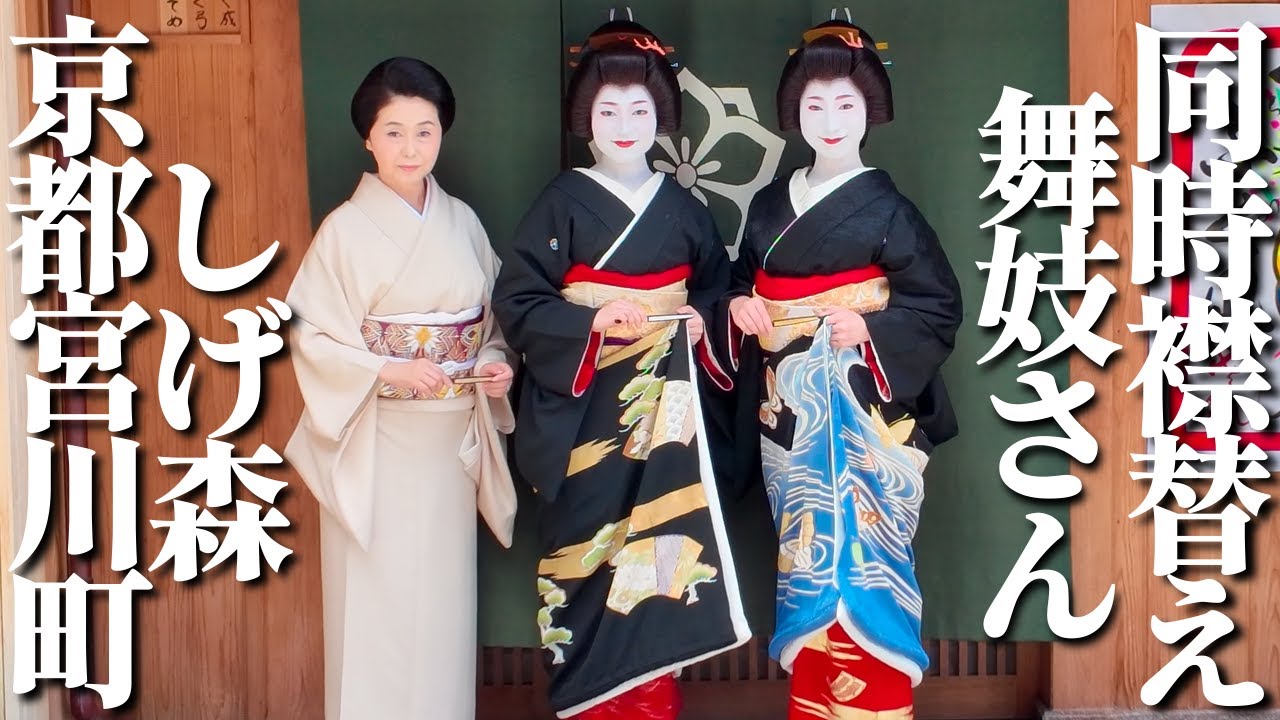 宮川町【舞妓さん二人】なんと【同時襟替え】 Geiko and Maiko san Miyagawa cho（Kyoto, Japan）#京都 #舞妓 #宮川町 #襟替え #芸妓