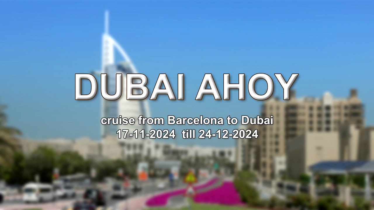 2024-11 