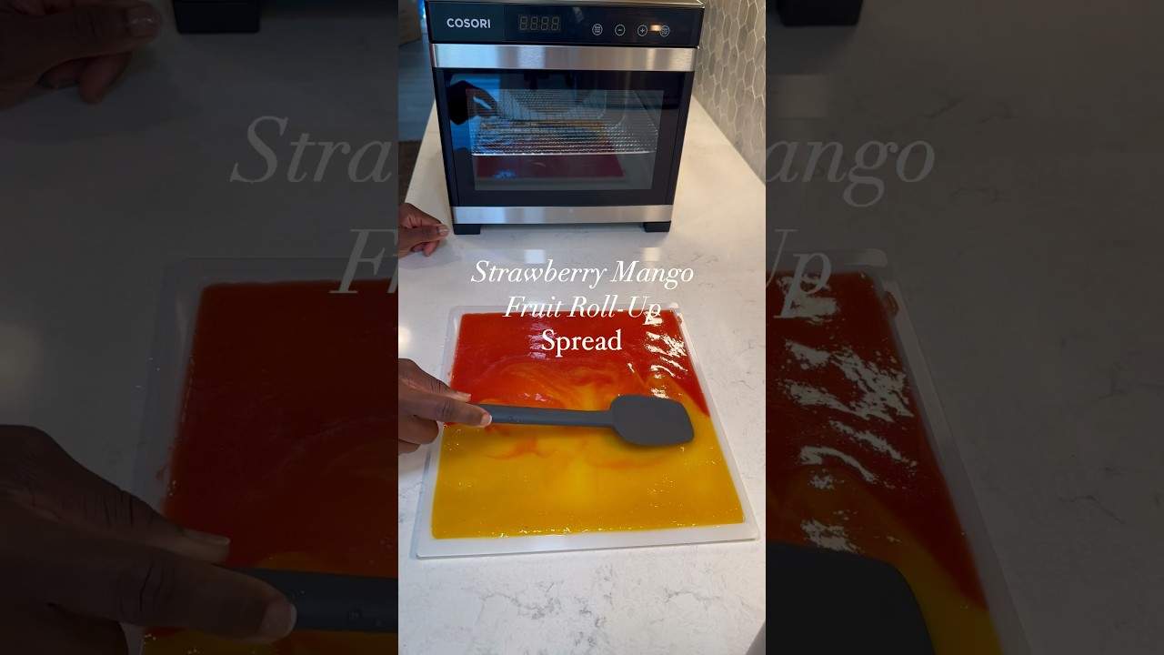 😮2 Ingredient Fruit Roll Up 😮