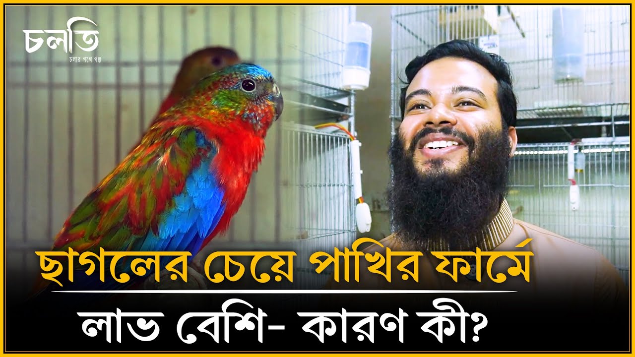এরা কেন এতো দামী পাখি? | চলতি কৃষি
