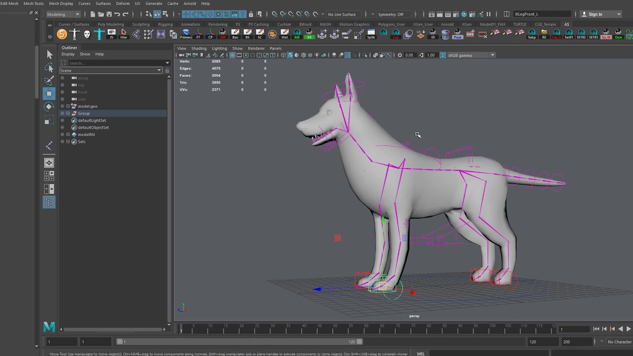 Dog Rig
