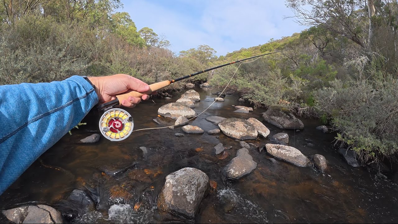 Trout fishing using Jindabyne as a base - P1 - 10 trout on a new Scott G Series 8&rsquo; 8&rdquo; 4wt