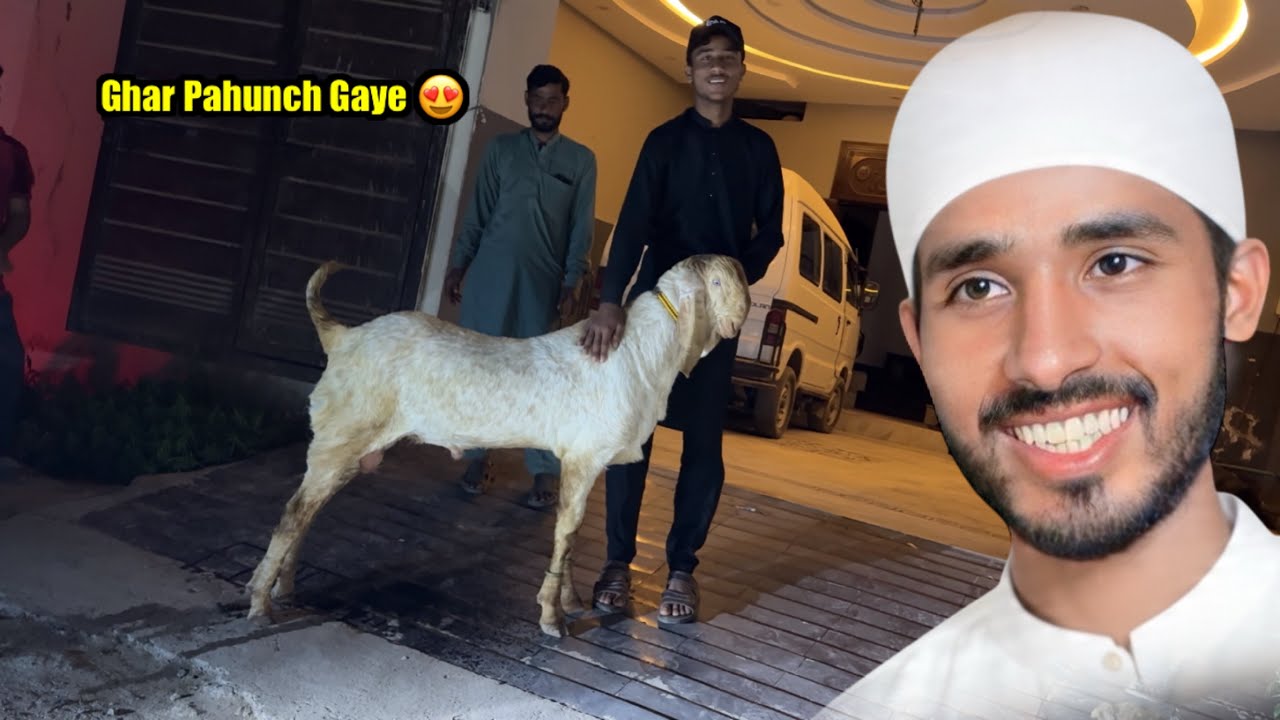 New Bakra Le Kar Ghar Pahunch Gaye 😍 Goat Farming 🐐