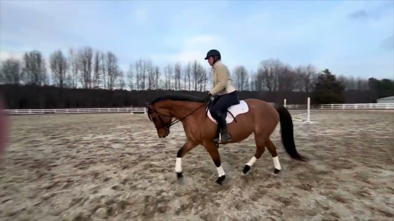 Willow 01/22/26