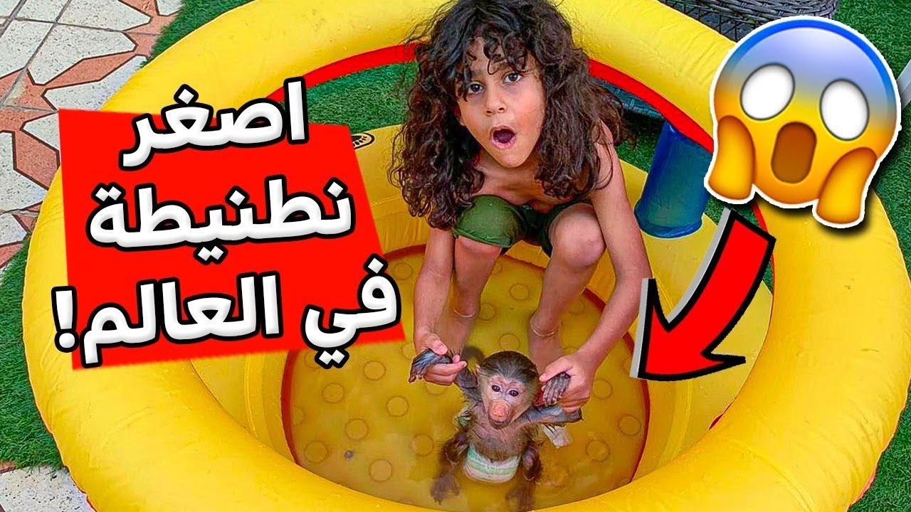 اشترينا اصغر نطيطه في العالم لعبسي وسبح 😭🔥