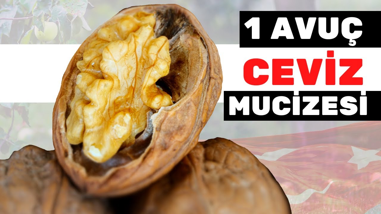 Sabahları 1 Avuç Ceviz Yemek Vücudunuza Bunları Yapıyor | Cevizin Faydaları Nelerdir?