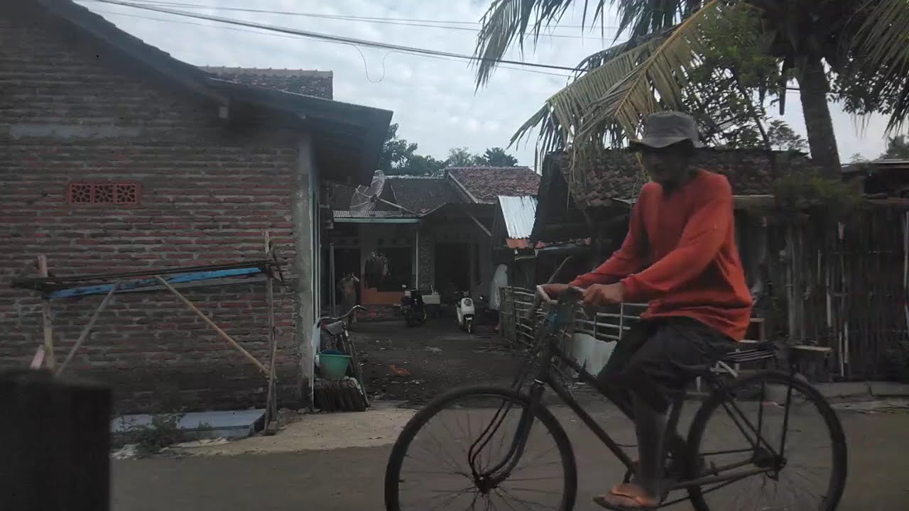 KOLEKSI LAGU DANGDUT ORGEN TUNGGAL FULL ALBUM PILIHAN TERBAIK