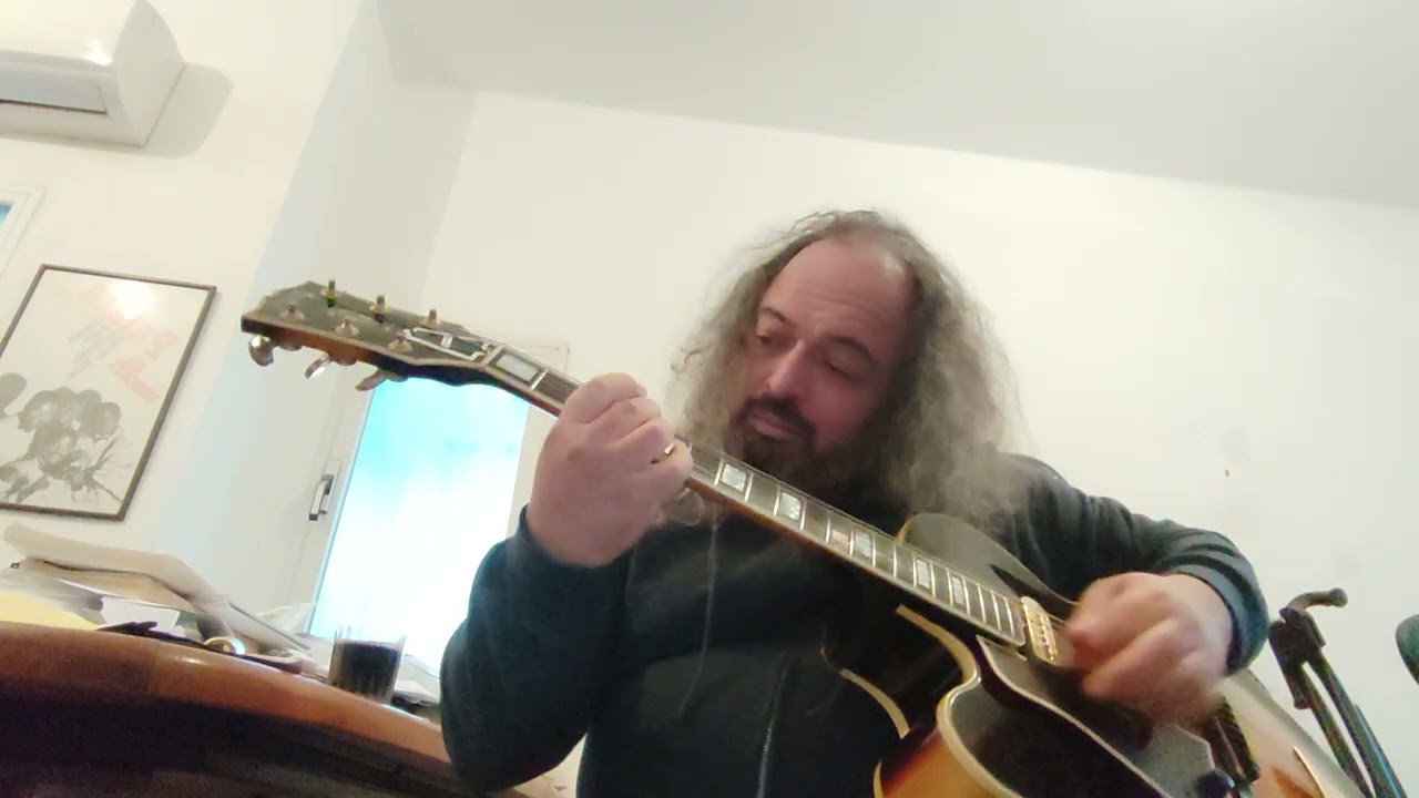 Jingles- Acoustic L-5 C 