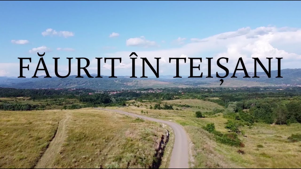 Făurit în Teișani