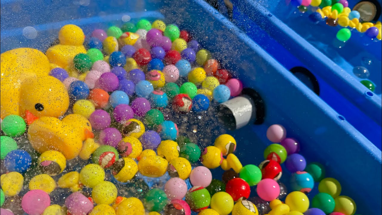 Water Marble Run⭐︎We experimented to see what would happen if we floated balls down a giant aquarium