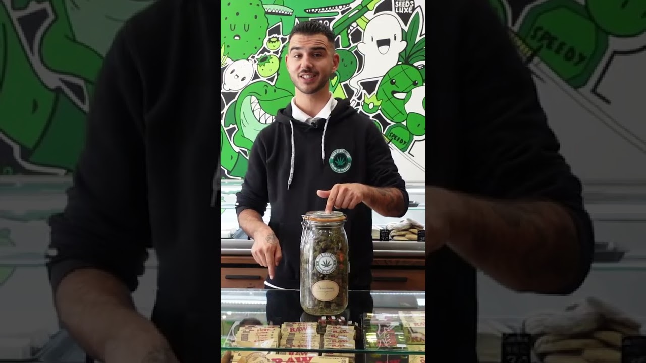 Promo Strawberry - WEEDSEEDSLUXE #Shorts