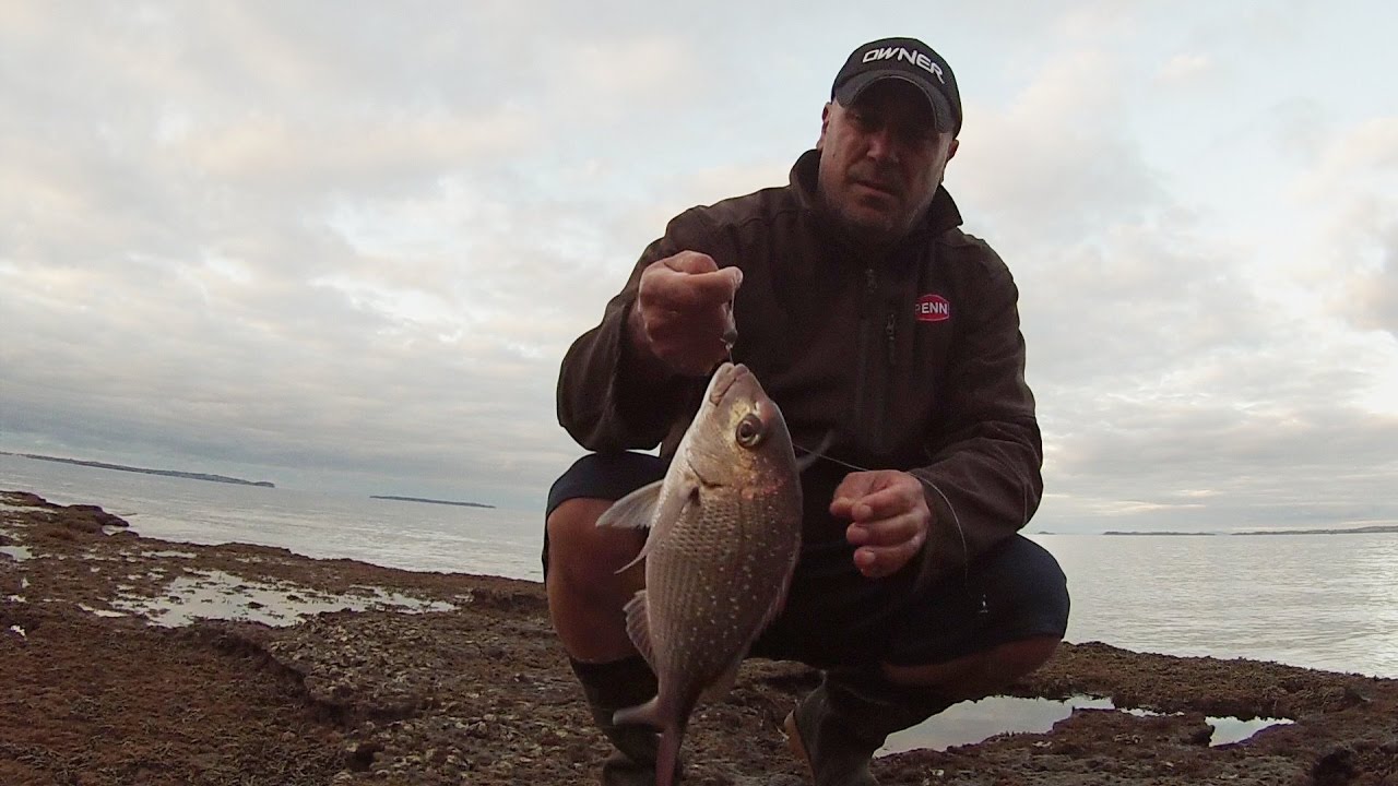 Reel Kiwi Fishing -Tips and tricks surfcasting from the rocks