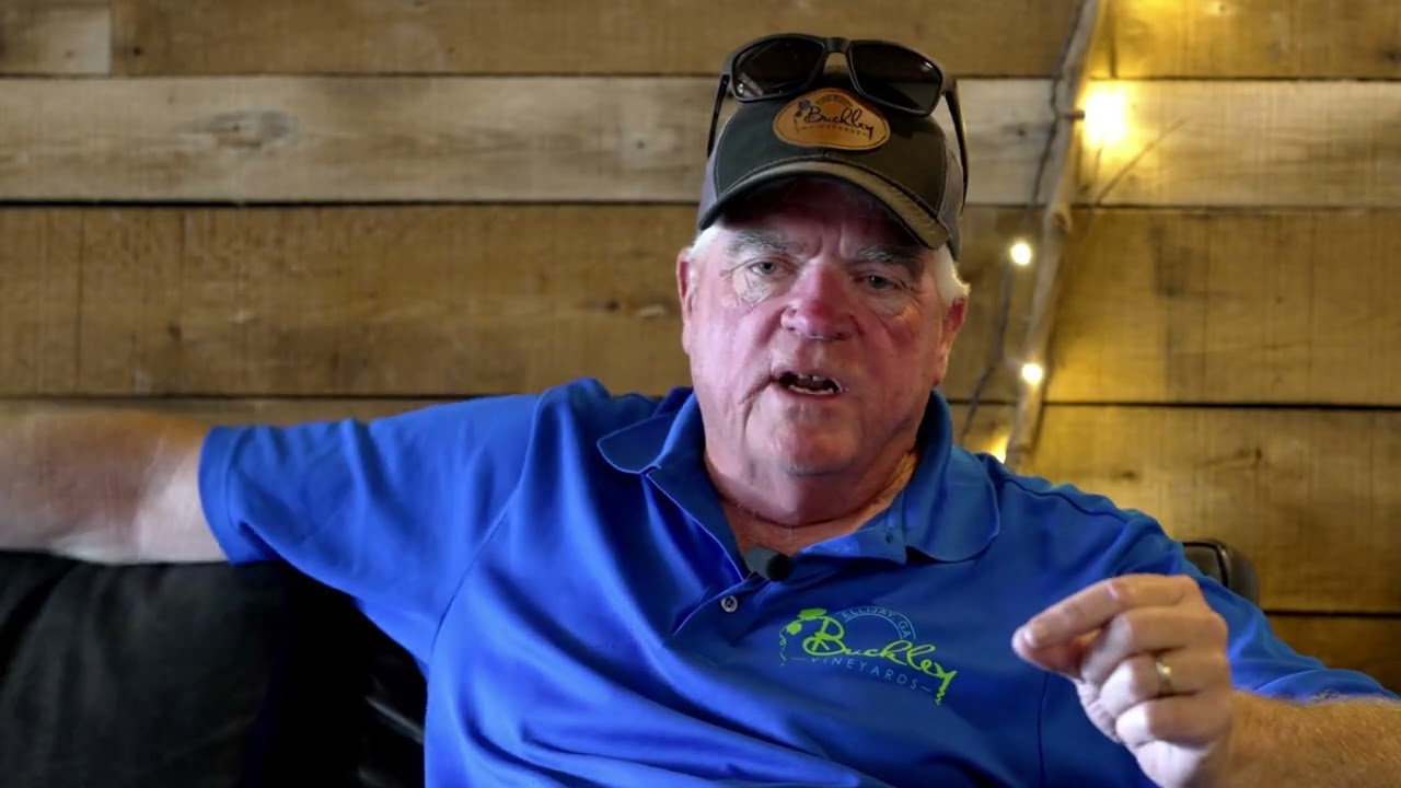 Sticks & Stuff Podcast at Buckley Vineyards with Kevin Buckley | Tom Crawford Interviews | Ellijay