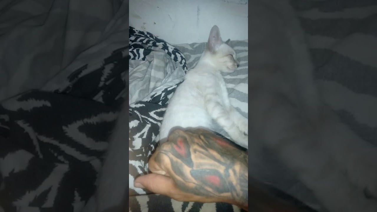 dormiu no plant&atilde;o da favela com Terror do rio