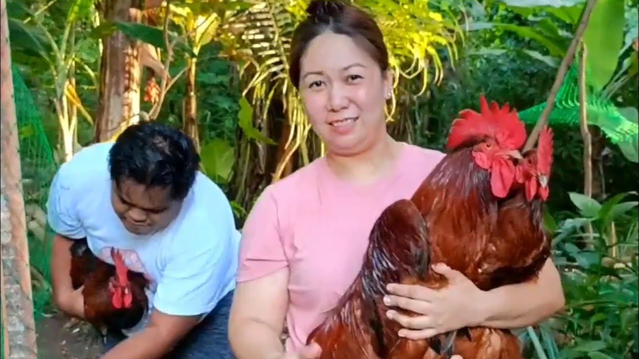 LAGI NALANG KASI MANOK HINIHIMAS MO @zanderpolsotinvlogs NAKAKA SELOS NA! #celiabarksvlog