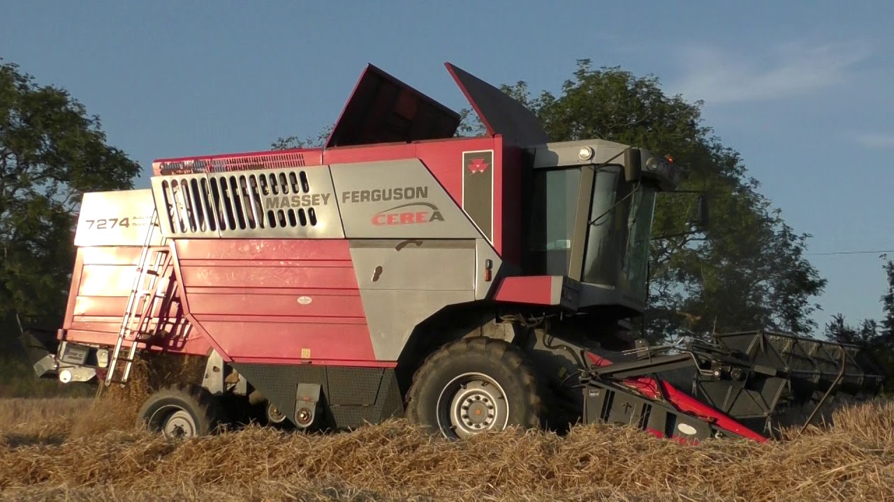 Harvest 2020 Massey Ferguson 7274 Cerea