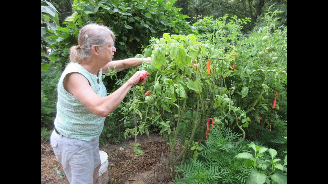 Fall Tilling, Making The Garden Ready For Spring