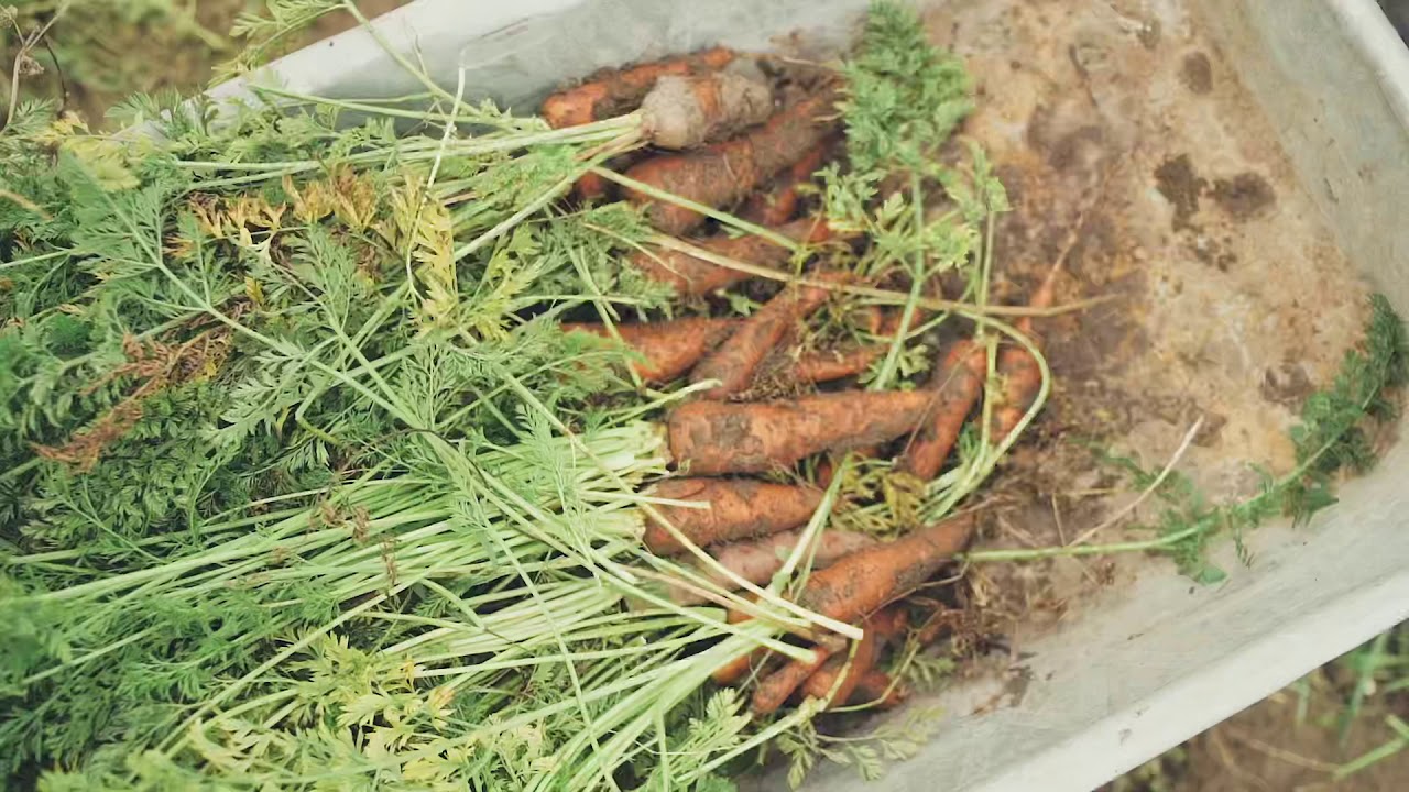 Social Enterprise - Gullivers Farm Shop & Kitchen