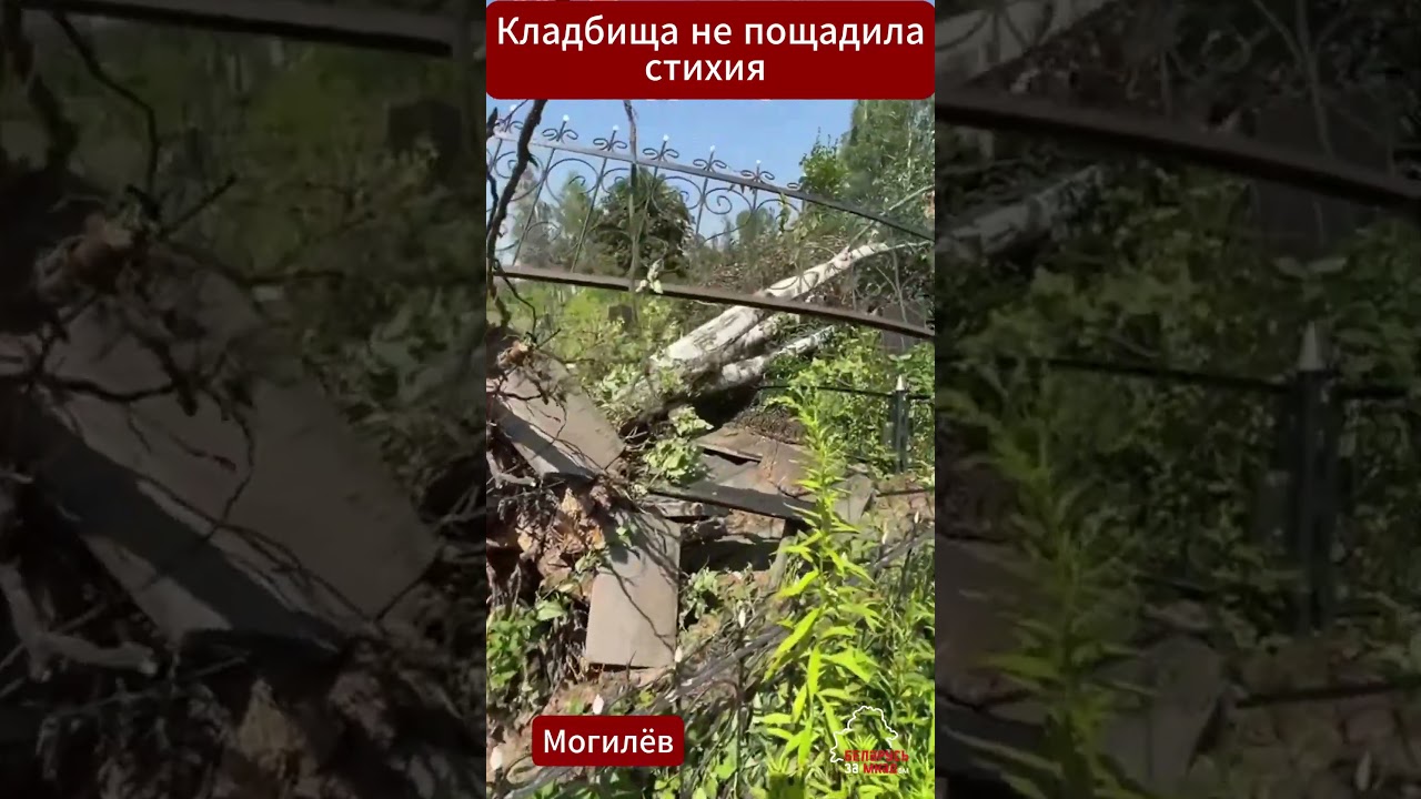 ШОК! Кладбища в #Могилев не пожалела #стихия  #беларусь #belarus  #ураган #стихия #могила #кладбище